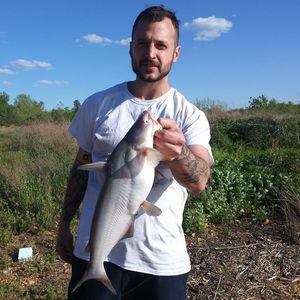 Meet your Posher, Stephen